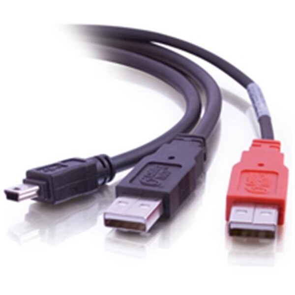 Fasttrack 6ft USB 2.0 One Mini-b Male to Two A Male Y-Cable FA56969 - main